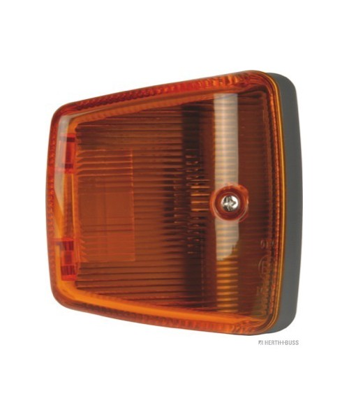 Feu clignotant, droite Mercedes-Benz 973 820 0421