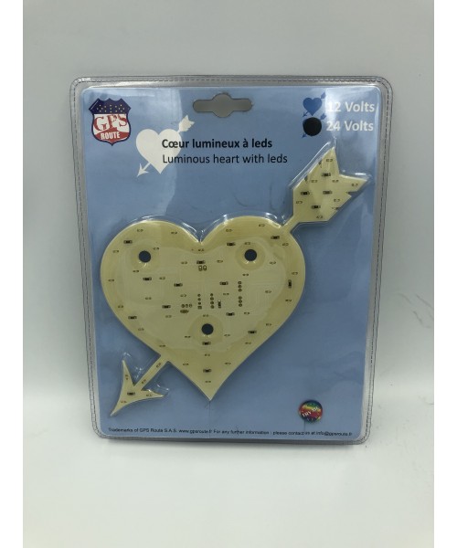Coeur lumineux a leds Bleu 24V