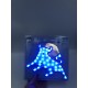 Coeur lumineux a leds Bleu 24V