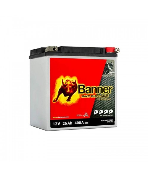 batterie-moto YTZ30L-BS