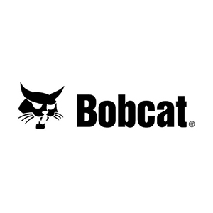 bobcat